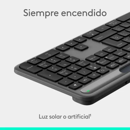 Klaviatūra ir pelė Logitech 920-013760 Grafito Ispanų QZERTY